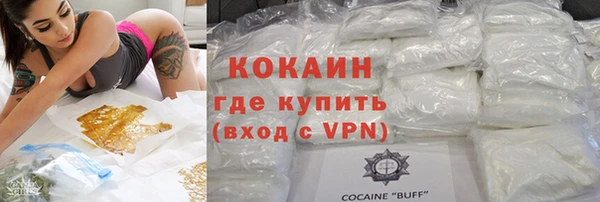 молекула духа Тайга