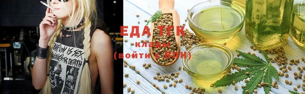 молекула духа Тайга