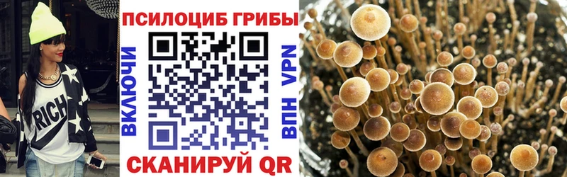 Псилоцибиновые грибы Psilocybe  даркнет сайт  дарк нет официальный сайт  Мещовск 