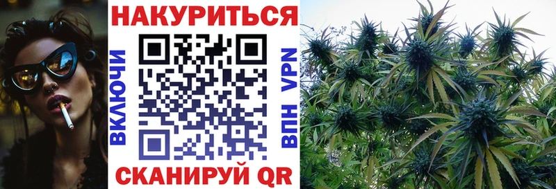 Конопля VHQ Мещовск